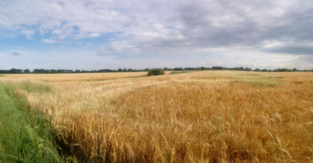 20170715_164915_Pano[1]